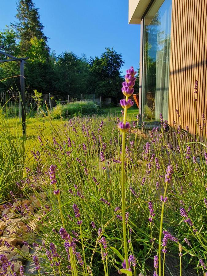 Ogrodowa 4 Leilighet Ustrzyki Dolne Eksteriør bilde